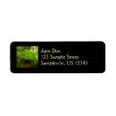 Search for maple tree return address labels Nature