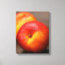 Recherche de pêche impressions sur toile Nature