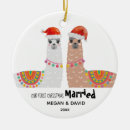 Search for funny llama ornaments Xmas