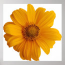 Search for cartoon bee art Background