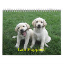 Search for lab calendars Puppies