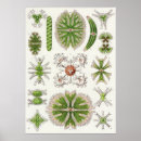 Recherche de plate formes art Nature