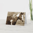 Search for flashy cards Equine