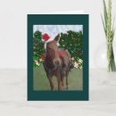 Search for mule christmas cards Animals