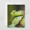 Recherche de vip cartes postales Nature