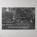 Search for oak tree posters Landscape