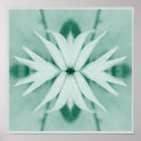 Recherche de photomanipulation posters Nature