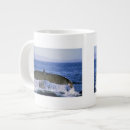 Search for humpback whale tail mugs Wildlife
