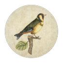 Recherche de oiseaux planches à découper Aviaire