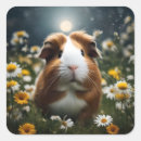 Search for white pig stickers Cute guinea pig