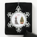 Search for black lab ornaments Funny