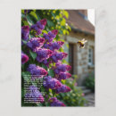 Search for pollinator postcards Bumblebee