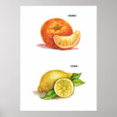 Recherche de de cuisine art Herbe