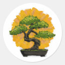 Recherche de bonsaï autocollants Plante