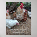 Search for fun chicks For kids