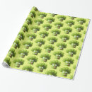 Search for vegetarian wrapping paper Cooking