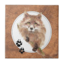 Recherche de renard carreaux Peinture