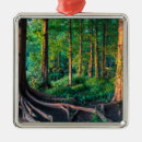 Search for summer ornaments Nature