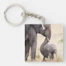 Recherche de éléphant de bébé porteclés Animal