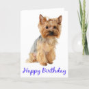 Search for yorkshire terrier dog birthday cards Yorkie