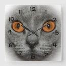 Recherche de yeux oranges art Animal