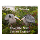 Search for great blue heron calendars Birds