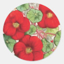 Search for nasturtium stickers Vintage