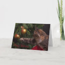 Search for blank 5x7 cards Cat