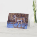Search for coyote cards Wildlife