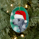 Search for bedlingtons ornaments Animal