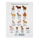 Recherche de insulte posters Animal