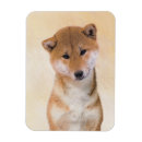 Recherche de ch magnets Dog