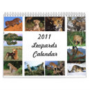 Recherche de leopard calendriers Chats