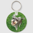 Search for miniature schnauzer keychains Puppy