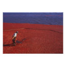 Search for thanksgiving art Celebration