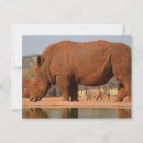 Recherche de boue cartes postales Brun