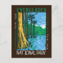 Search for everglades postcards Vacation