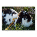 Search for easter photography Cute