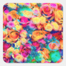 Search for multi colored roses stickers Flower