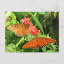 Recherche de duo cartes postales Nature