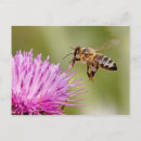 Search for honeybee postcards Thistle