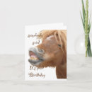 Search for funny horse birthday cards Horses