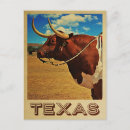Search for animal postcards texas