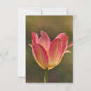 Search for tulip note cards Garden