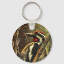 Search for bellied keychains Bird