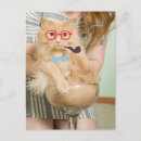 Recherche de de célébrité posters Célébrité internet cat