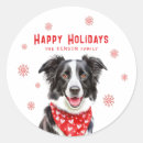 Search for collie border stickers Snowflakes