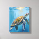 Recherche de tortue mer toiles Bleu