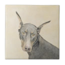 Recherche de dobermann carreaux Doberman pinscher