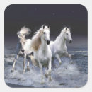 Search for running horses stickers Animals
